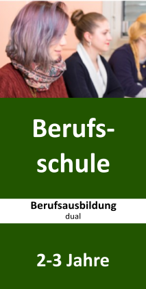 Louise-Schroeder-Schule – Oberstufenzentrum Bürowirtschaft Und Verwaltung